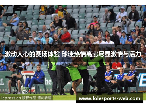 激动人心的赛场体验 球迷热情高涨尽显激情与活力