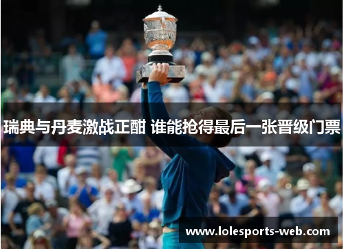 瑞典与丹麦激战正酣 谁能抢得最后一张晋级门票