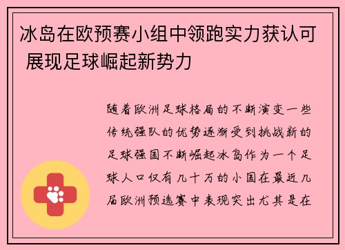 冰岛在欧预赛小组中领跑实力获认可 展现足球崛起新势力