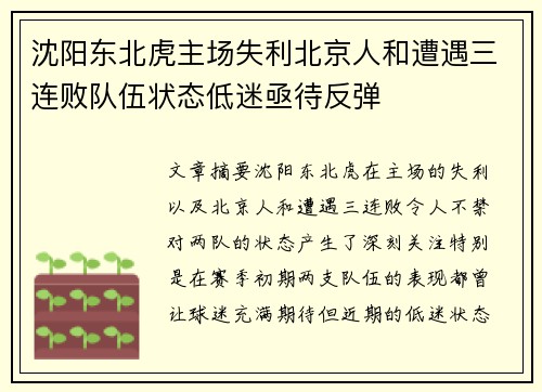 沈阳东北虎主场失利北京人和遭遇三连败队伍状态低迷亟待反弹