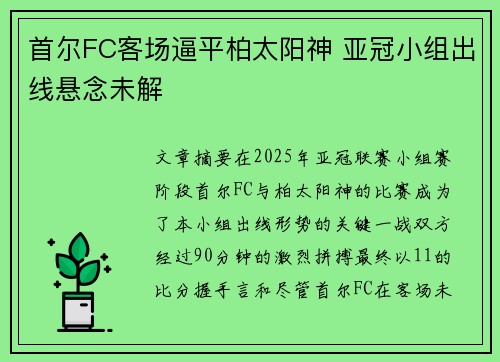 首尔FC客场逼平柏太阳神 亚冠小组出线悬念未解